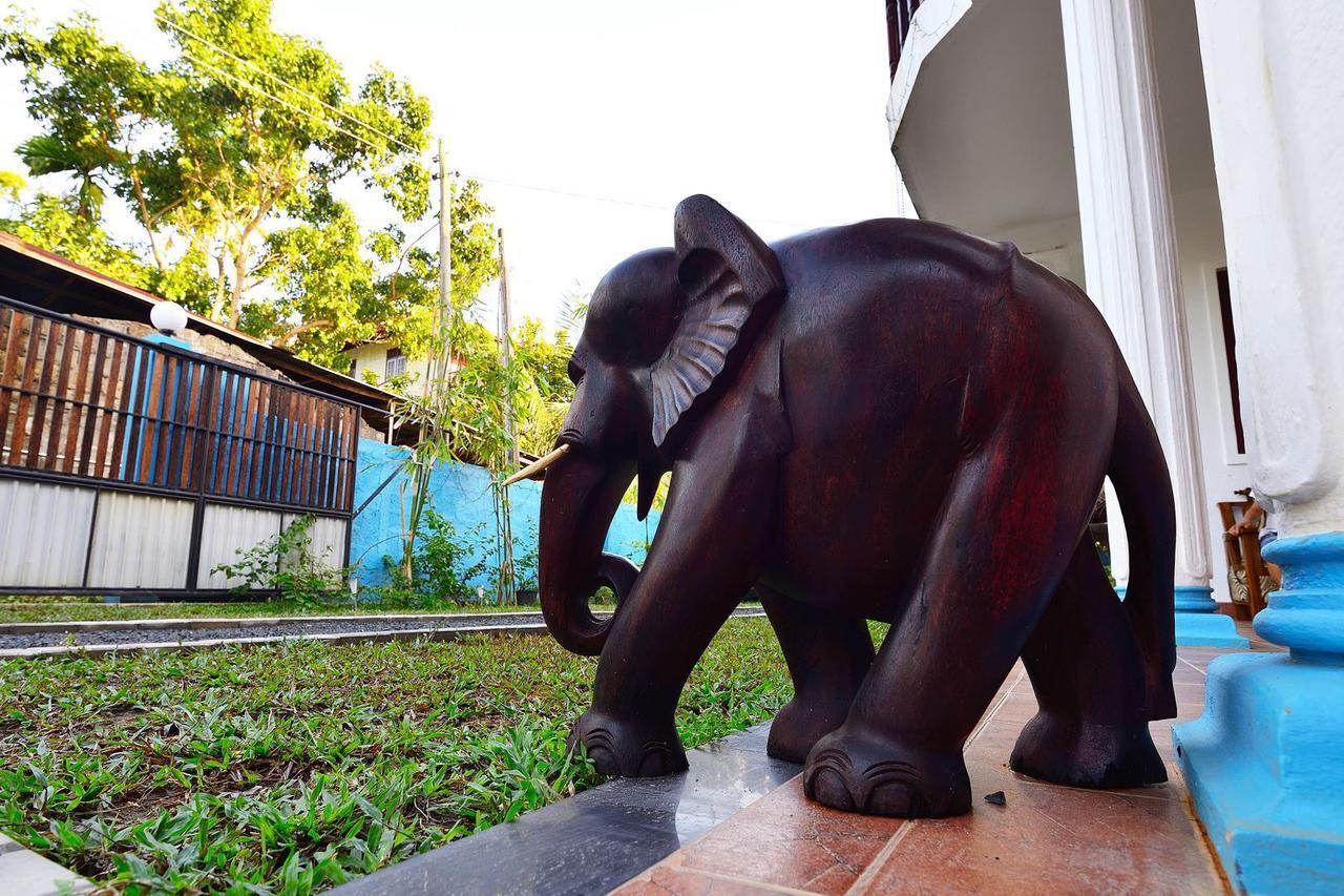 Blue Whale Holiday Hotel Mirissa Exterior photo