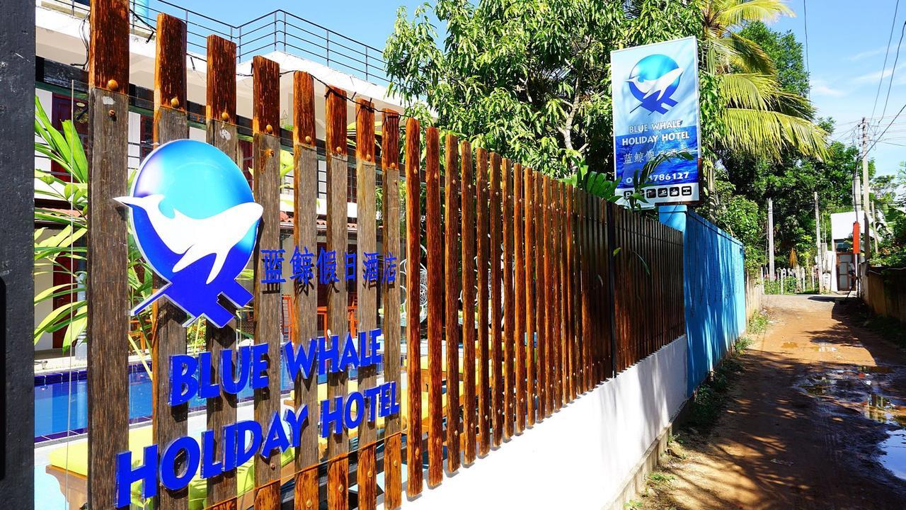 Blue Whale Holiday Hotel Mirissa Exterior photo