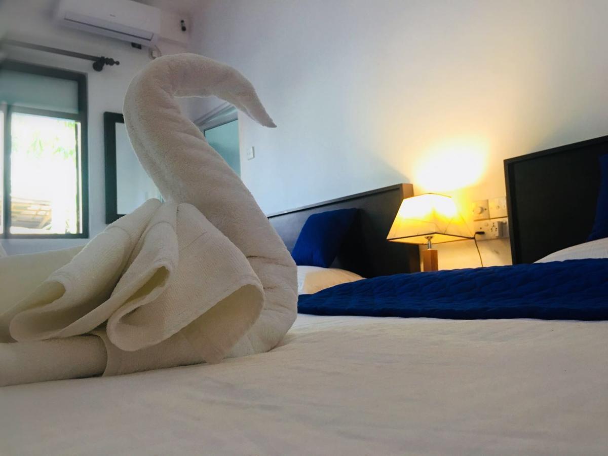 Blue Whale Holiday Hotel Mirissa Room photo